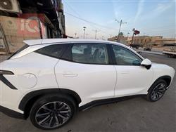 جيتور داشينج